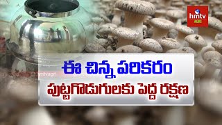 ఈ చిన్న పరికరం పుట్టగొడుగులకు పెద్ద రక్షణ | Mushroom Cultivation | hmtv Agri