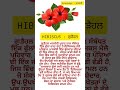 hibiscus ਗੁੜੈਹਲ knowledge ਜਾਣਕਾਰੀ knowledge ਜਾਣਕਾਰੀ