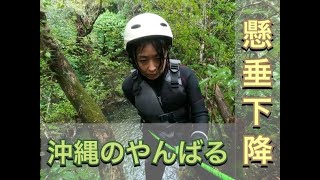 【懸垂下降！沖縄のやんばる！Gopro HERO9 BLACK 撮影】のんびりゆっくり沖縄自然体験エコツアー！お子様連れのご家族や体力に自信のない方、のんびりゆっくり沖縄の自然が満喫できるツアー！