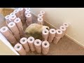 cat vs toilet paper maze charmmy meow