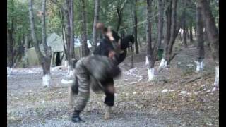 კუდი - Georgian Special Forces (KUD)