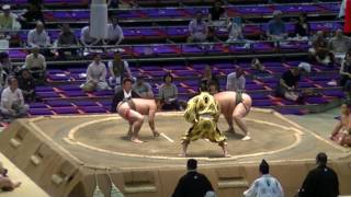 大相撲.2016.7.13㊴/琴欣旺(kotokino)-若龍勢(wakaryusei)/nagoya Basho/day 4 #sumo