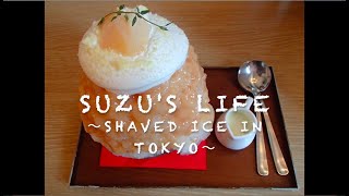 (Suzu's life) かき氷を食べに、サカノウエカフェに行きました！I went to eat fancy shaved ice in Tokyo!