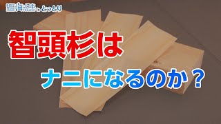 智頭杉でつくる、環境に優しい木製ストロー 日本財団 海と日本PROJECT in とっとり 2020 #16