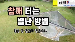 참깨수확 후 참깨터는방법, 참깨털이대 발명