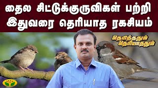 அழிவின் விளிம்பில் இருக்கும் இந்த பறவை | தெரிந்ததும் தெரியாததும் | Jaya Tv