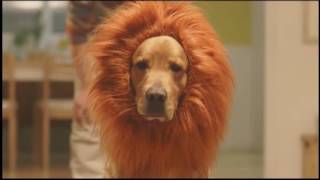 Amazon Japan Commercial with Dog - Extended Ending - Lion CM