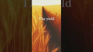 The yield