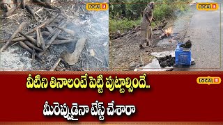 East Godavari  : వీటిని తినాలంటే పెట్టి పుట్టాల్సిందే.. మీరెప్పుడైనా టేస్ట్ చేశారా! | #local18