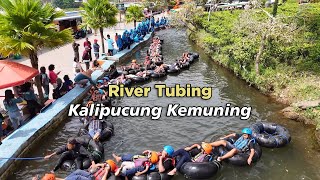 Pesona wisata River Tubing Kalipucung Ngargoyoso Karanganyar kebun teh