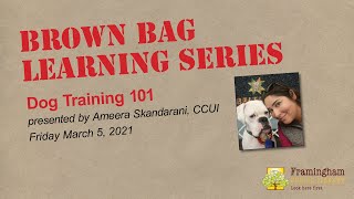 Brown Bag Learning Series: Dog Training 101