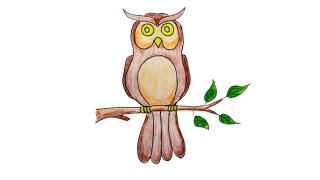 How to Draw Owl Bird Easily for Beginners-The Best Tutorial