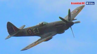 Clipped Wing SUPERMARINE SPITFIRE - AMAZING ROLLS ROYCE GRIFFON V-12 ENGINE !