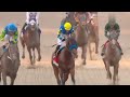 full race 2024 pegasus world cup race