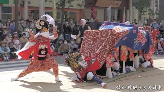 高岡獅子舞大競演会 2023年 高岡 佐加野獅子方若連中 / 末広町商店街(すえひろーど)特設会場