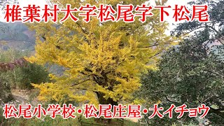 松尾小学校・松尾庄屋・大イチョウ　宮崎県東臼杵郡椎葉村大字松尾字下松尾