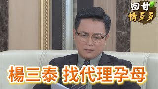 《回甘情多多》EP215  楊三泰 找代理孕母