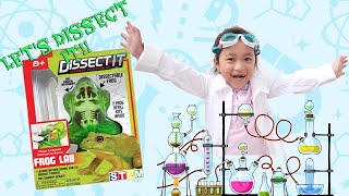 FROG LAB| Dissect it! Kylie pretend play as scientist