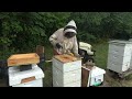 epic 2024 honey harvest and huge giveaway at jbf u0026h s8e24 beekeeping