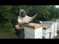 epic 2024 honey harvest and huge giveaway at jbf u0026h s8e24 beekeeping