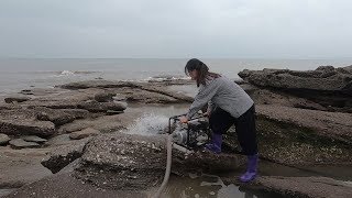 皮皮扛来超大抽水机倒巨坑，把无人岛好坑猛抽一顿，独吞一堆岛货