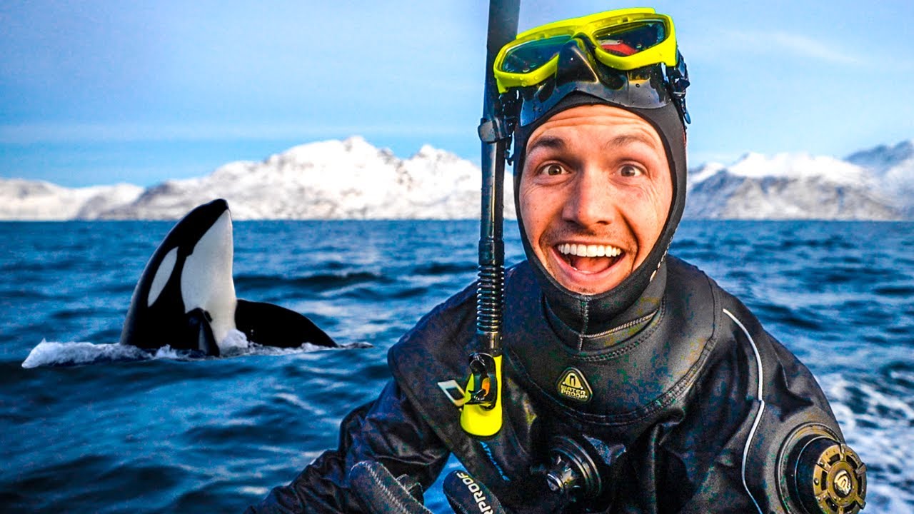 We Swam with Wild Orcas in Norway (life-changing experience)