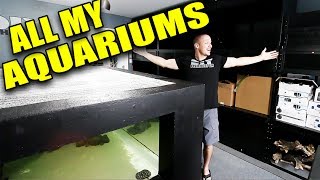 HUGE aquarium gallery update!
