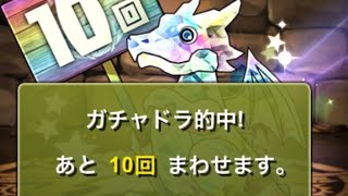 【パズドラ】8000円の10連ガチャドラ