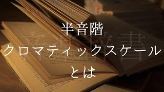 半音階  クロマティックスケール【音楽辞書(毎日投稿)】