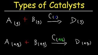 Homogeneous vs Heterogeneous Catalysts - Basic Introduction