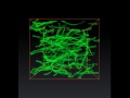 3D confocal Raman imaging of CNT-epoxy composites