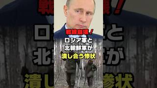 ロシア軍と北朝鮮軍が潰し合う惨状#ロシア #ウクライナ #プーチン #ショート #shorts #ゆっくり解説