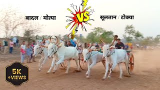 mangaon Bailgadi sharyat|Bailgada sharyat|sharyat|बैलगाडी शर्यत|naad Bailgada sharyat|