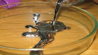 Mercury Poisoning