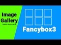 Jquery Tutorial | Image Gallery  Using Fancybox 3