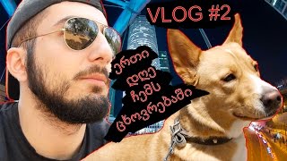 VLOG #2  - დღე ჩემს ცხოვრებაში