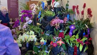 How to enter an orchid show and win ribbons