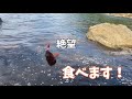 穴釣りでまさかの大物が！！謎の生物も登場してびっくりwww