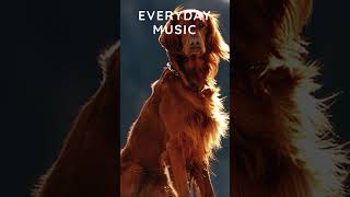 Everyday Music | Soothing Music for Dogs with Separation Anxiety and Stress