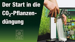 Aquarienpflanzen düngen mit einem BIO CO2 System - Schnell und günstig einsteigen