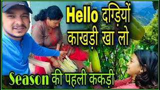 Hello दगडियो काखड़ी खाने आजाओ | इस season की पहली ककड़ी | पहाड़ों की ककड़ी (kakadi) | pahadi cucumber |