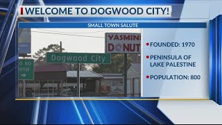 SMALL TOWN SALUTE: Dogwood City is right on Lake Palestine