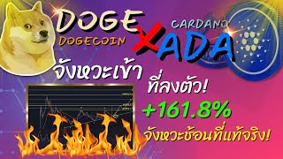 (รายการพิเศษ) วิเคราะห์เหรียญ DOGE X ADA ตอน จังหวะเข้าที่ลงตัว รอ+161.8% จังหวะช้อนที่แท้จริง!