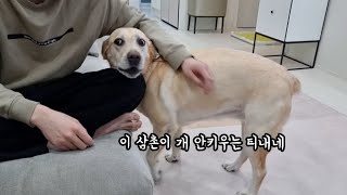 개모녀 사기단에게 잘못걸린 불쌍한 손님