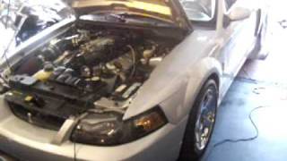 FASTLANE MOTORSPORTS - 04 Cobra w/ Ported Eaton - Adam Stephens