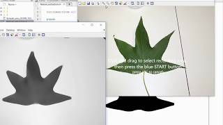 leaf detection using image processing in MATLAB