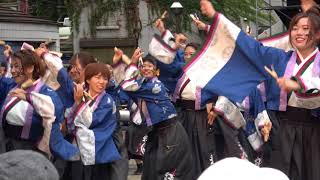 学生よさこいチームおどりんちゅ・ステージ＠2017　東京よさこい