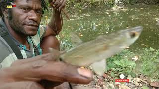 Amazing powerful Slingshots skills  hunting fish - kkc strike ketapel ikan nila dan bulanak