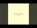 Forest Aurora Mystic
