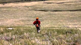 The True Upland Experience with PRO Outfitters